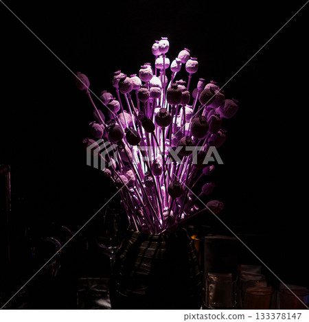Dried poppy decoration. Poppy in the vase. Poppy arrangement of dried flowers and grass. 133378147