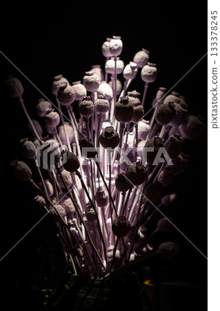 Dried poppy decoration. Poppy in the vase. Poppy arrangement of dried flowers and grass. Dried poppy decoration. Poppy in the vase. Poppy arrangement of dried flowers and grass. 133378245