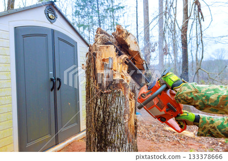 Handyman uses chainsaw to cut through tree stump in forested surrounded by bare trees scenery. Handyman uses chainsaw to cut through tree stump in forested surrounded by bare trees scenery. 133378666