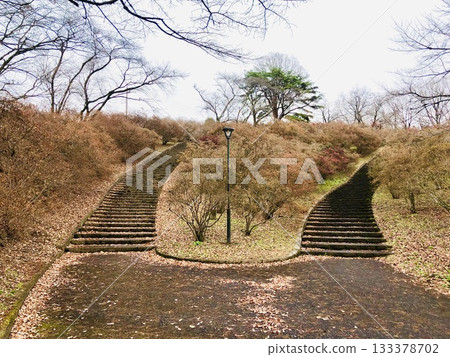 山坡上有兩條線,樹枝在那裡沉睡 山坡上有兩條線,樹枝在那裡沉睡 133378702