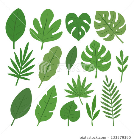 Set of tropical foliage leaves in green tones. Flat botanical illustration for summer, jungle, and nature design projects 133379390