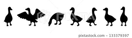 Black geese silhouettes in flapping, walking, and pecking poses. Clean cartoon vector set 133379397