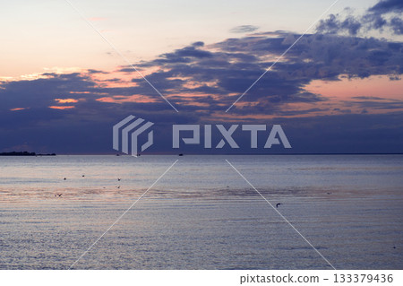 A serene coastal view at sunset, where dusky blue clouds contrast with pale pink light above the calm water. Small seabirds dot the peaceful horizon A serene coastal view at sunset, where dusky blue clouds contrast with pale pink light above the calm water. Small seabirds dot the peaceful horizon 133379436