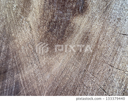 Close up of rugged, weathered surface of a tree stump, highlighting the rough texture and distinct grain patterns. Scratches and cracks mark the aged, dry wood. Cut tree trunk texture background. Close up of rugged, weathered surface of a tree stump, highlighting the rough texture and distinct grain patterns. Scratches and cracks mark the aged, dry wood. Cut tree trunk texture background. 133379440