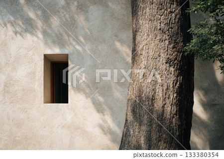 Natural elements contrast with modern architecture 133380354