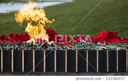 Mass grave outdoor memorial features a bright flame among red carnations 133380457