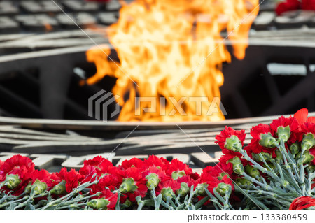 Historic memorial features a bright flame among red carnations, resting on a black stone 133380459