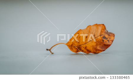 A single autumn leaf on a branch against a soft, blurred background. The image features a close-up of a golden-brown leaf attached to a slender branch,   This is AI-generated item 133380465