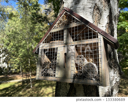 Insect house on tree in city garden 133380689