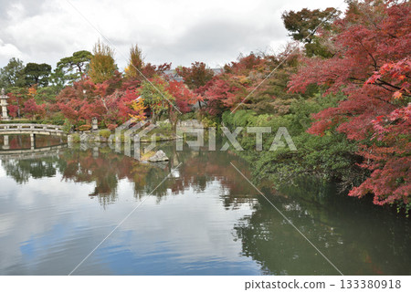 從極樂橋看到的永觀堂禪林寺、北條池的秋天(京都市左京區) 從極樂橋看到的永觀堂禪林寺、北條池的秋天(京都市左京區) 133380918
