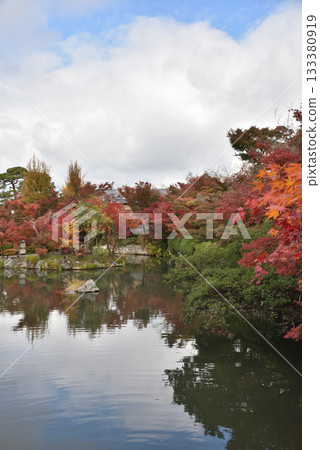 從極樂橋看到的永觀堂禪林寺、北條池的秋天（京都市左京區） 133380919