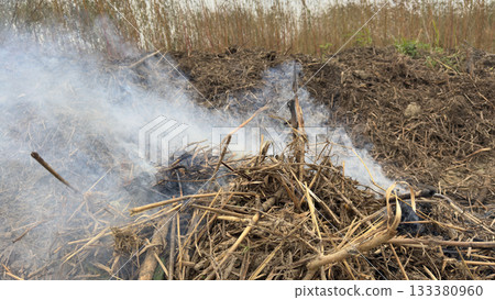 草燃燒產生的火焰和濃煙 133380960
