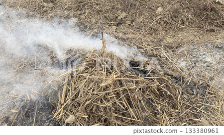 草燃燒產生的火焰和濃煙 133380961