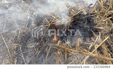 Flames and smoke from grass burning 133380964