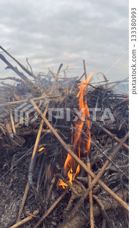 草燃燒產生的火焰和濃煙 133380993