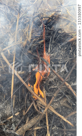 Flames and smoke from grass burning Flames and smoke from grass burning 133380997