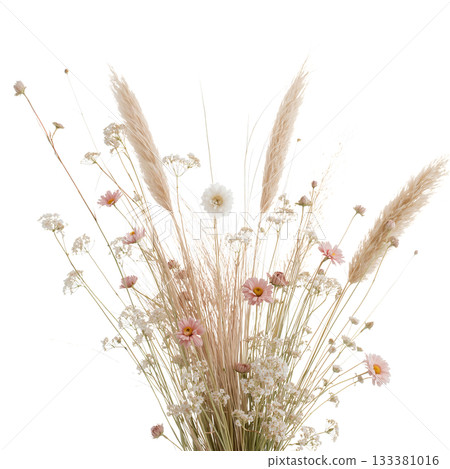 Delicate Bouquet of Dried Flowers in Soft Hues on a White Background Delicate Bouquet of Dried Flowers in Soft Hues on a White Background 133381016