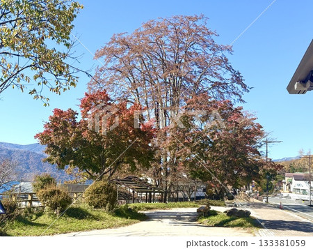 A crimson welcome on the lakeside A crimson welcome on the lakeside 133381059