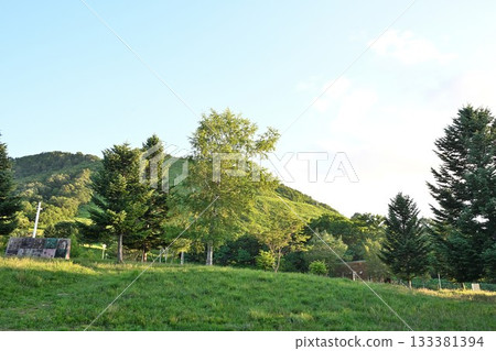 Moya Hills Campground and mountain scenery at dusk (Aomori Prefecture) 133381394