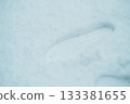 雪地上的腳印 133381655