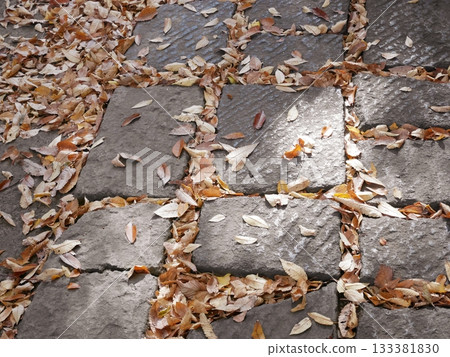 Autumn cobblestones and fallen leaves 133381830