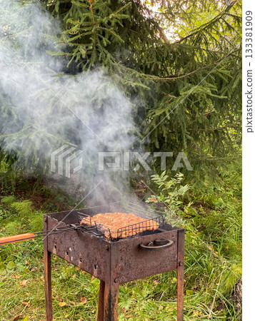 Outdoor Barbecue Grill with Smoke in Forest 133381909