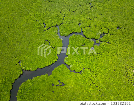 Mangrove forest with narrow winding river channel under tropical cloudy sky. Siargao, Philippines. 133382191
