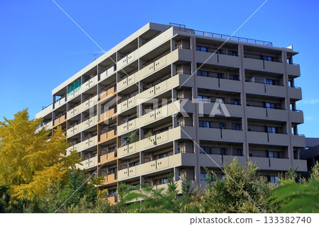 藍天和集體住房 133382740