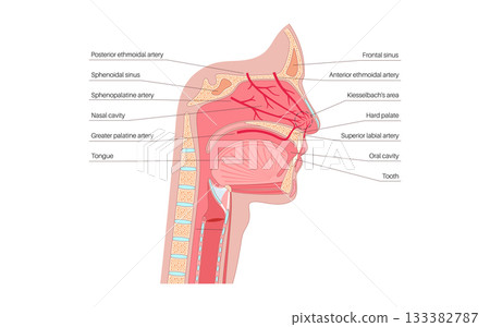 Nosebleed medical poster Nosebleed medical poster 133382787
