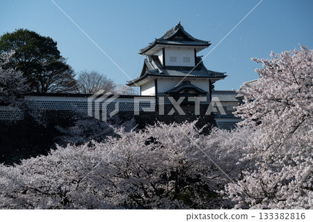 Cherry blossoms fluttering around Kanazawa Castle ruins and Ishikawamon Gate Cherry blossoms fluttering around Kanazawa Castle ruins and Ishikawamon Gate 133382816
