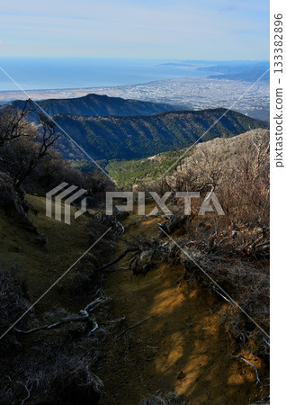 從足座山脈的越前山眺望駿河灣、富士市和靜岡市 133382896