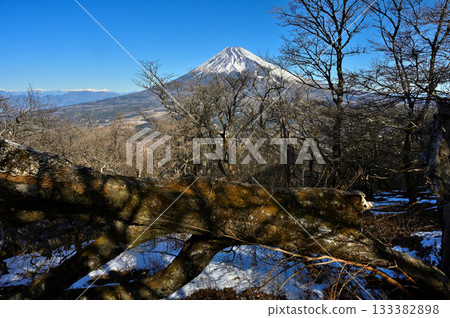 阿席達卡山脈:越前岳森林中倒下的樹木,以及聳立在山巔的富士山 阿席達卡山脈:越前岳森林中倒下的樹木,以及聳立在山巔的富士山 133382898