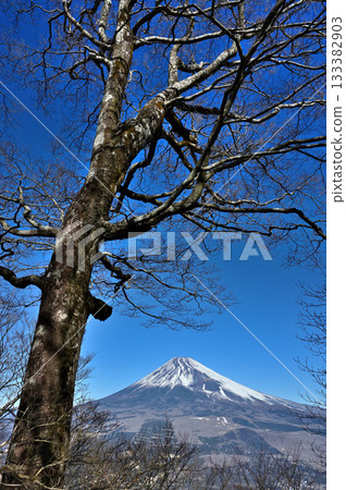 從阿席達卡山脈的越前山眺望富士山，可見森林景色。 133382903