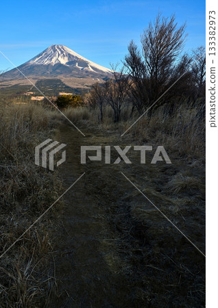 Mount Fuji seen from Kayato's trail up Mount Echizen in the Ashitaka mountain range 133382973