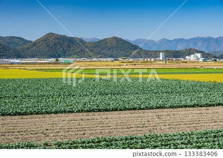 Rural scenery in Azuchi, Omihachiman City, Shiga Prefecture 133383406
