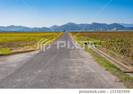 滋賀郡近江八幡市安土町的鄉村景色 133383409