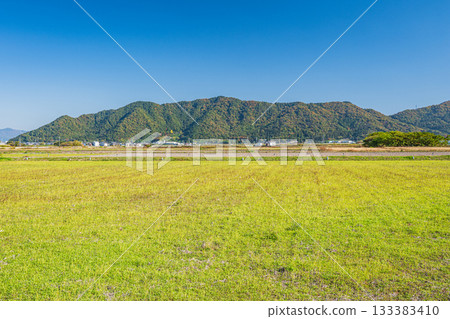 Rural scenery in Azuchi, Omihachiman City, Shiga Prefecture 133383410