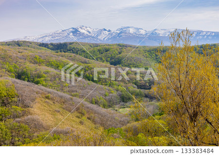 Shimowakezigo海岸 133383484