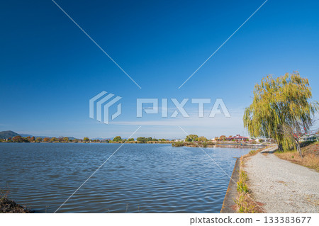 Lake Nishinoko, Omihachiman City, Shiga Prefecture Lake Nishinoko, Omihachiman City, Shiga Prefecture 133383677