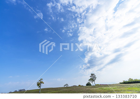 秋日的天空、雲彩和草地 133383710