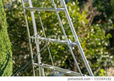 constructing, pruning, garden 133384192