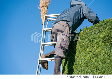 pruning, gents, male 133384199