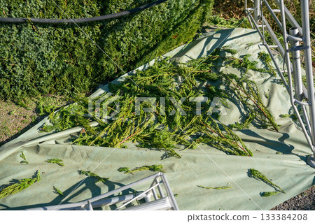 pruning, gardener, garden 133384208