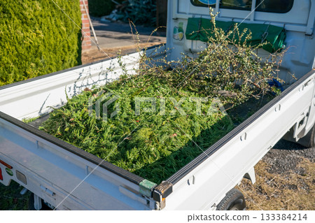 花園 院子 軌跡 133384214