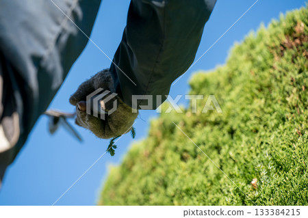 修剪 男人 男 133384215