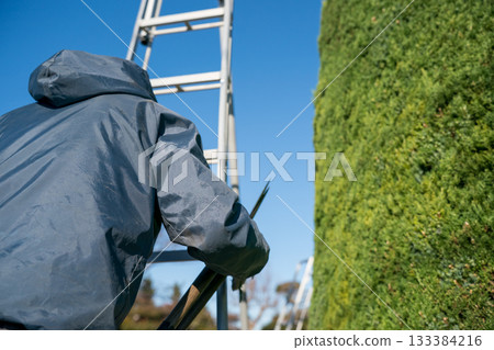 pruning, male, males 133384216