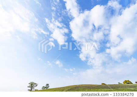 Autumn sky, clouds and grassland Autumn sky, clouds and grassland 133384270