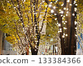 Marunouchi Illuminations 133384366