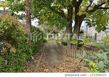 越谷散步:西關盤綠道(舊出羽堀舊址) 越谷市蒲生 越谷散步:西關盤綠道(舊出羽堀舊址) 越谷市蒲生 133384433