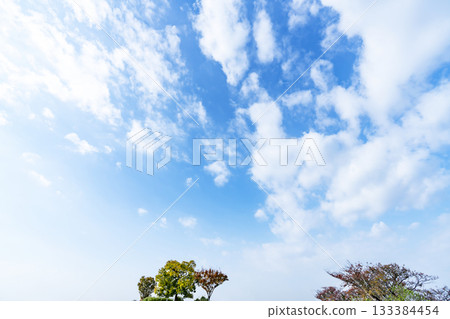 Autumn sky, clouds and trees 133384454